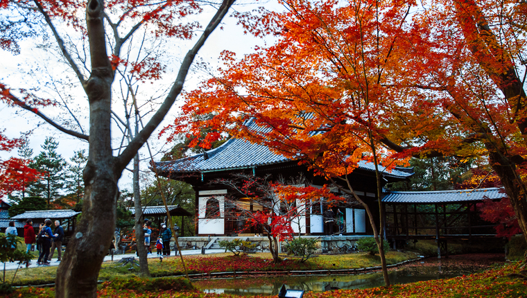 Guia de viaje de Japon