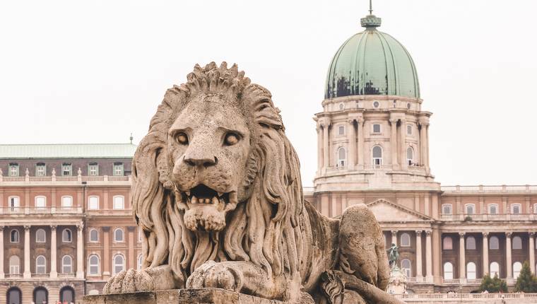 Leon del Puente de las Cadenas de Budapest