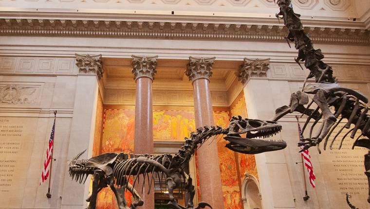 Museo de Historia Natural de NY Guia Completa para tu Visita