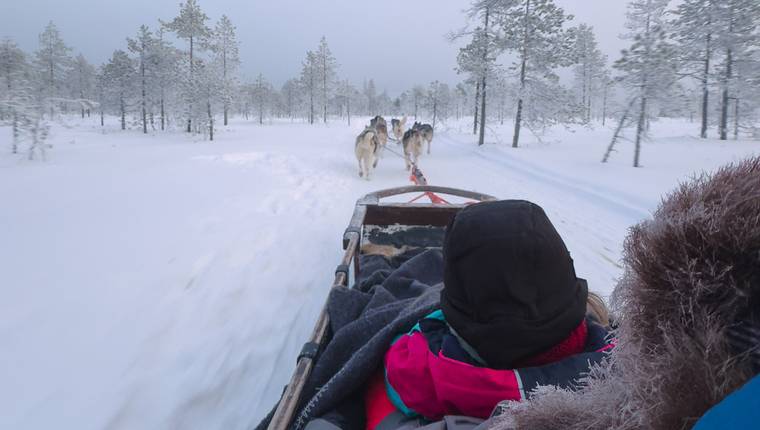 Paseo en tirineo con huskiesn en Laponia con ninos