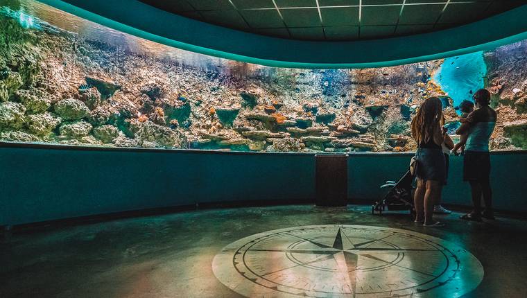 Que hacer en Sevilla con niños visitar acuario