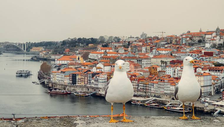 Vistas a la Ribeira de Oporto