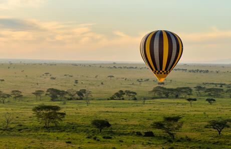 Latidos de Tanzania - 7 días