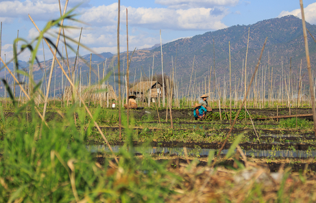 Qué ver en el lago Inle