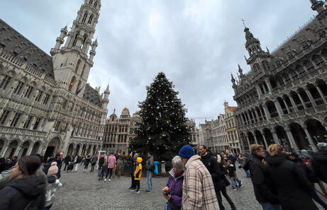 Bruselas en dos dias