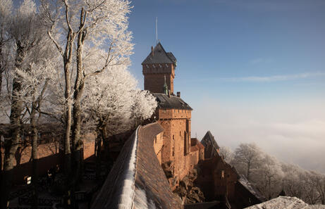 Visita al Castillo de Haut-Koenigsbourg en Alsacia