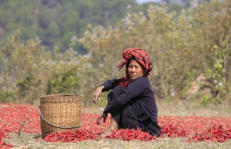 Si quieres entender Myanmar… has de leer este post