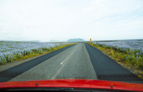 Como moverse por Islandia