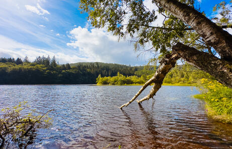 Escocia en 5 días: Ruta por Edimburgo y Highlands