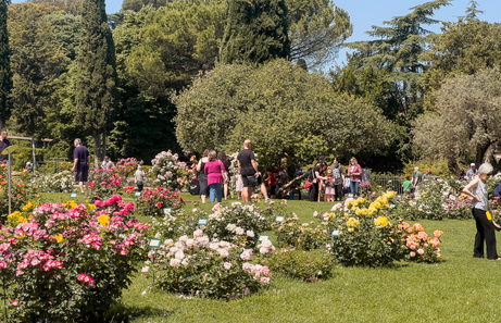 Primavera, la Ciudad Eterna cubierta de flores