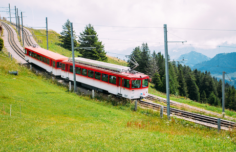 Excursion al Rigi desde Lucerna