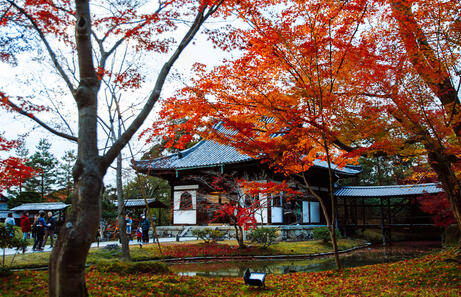 Guia de viaje de Japon
