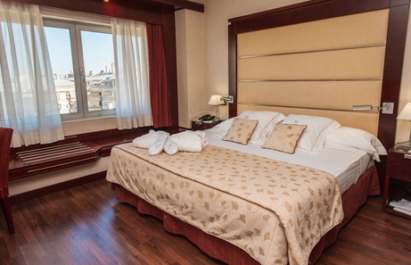 Hotel Andalucía Center