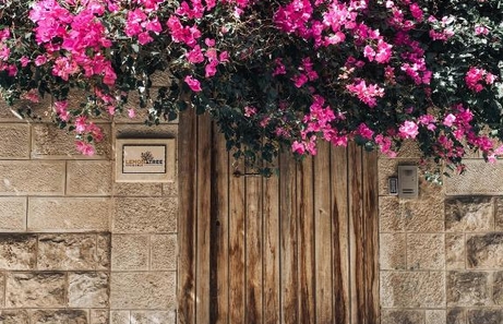 Lemon Tree Residence