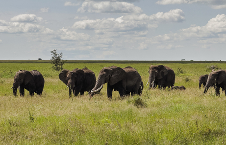 Mejor época para viajar a Tanzania [info y análisis]