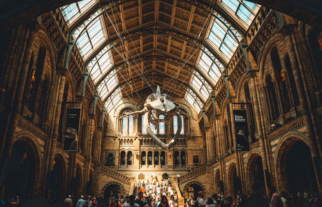 Museo de Historia Natural de Londres