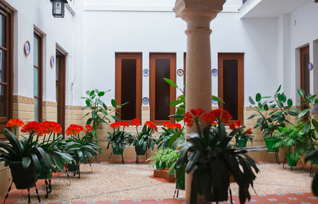 Patios de Córdoba: ¿cuáles visitar y en qué época?