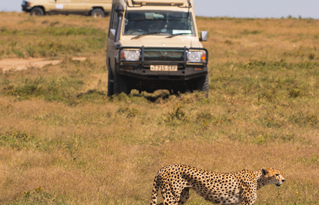Que actividades hacer en Tanzania en 7 dias