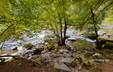 ¿Cuál es la Mejor Época para Viajar a Escocia?