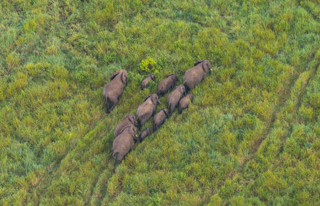 Tanzania 360 - 10 días