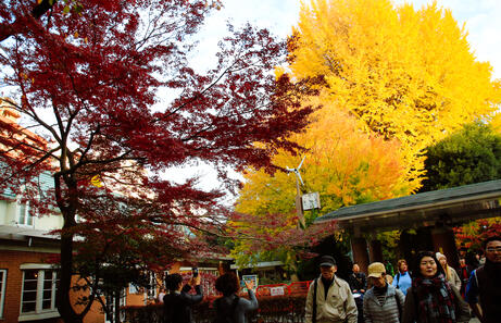 Qué Ver en Tokio en 4 Días [Itinerario Completo]
