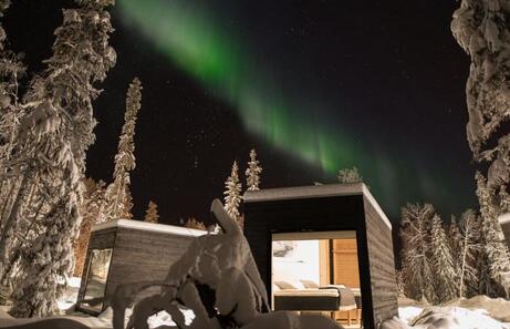 Vaattunki Wilderness Resort