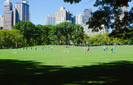 Viajar a Nueva York en Primavera: Guía Completa