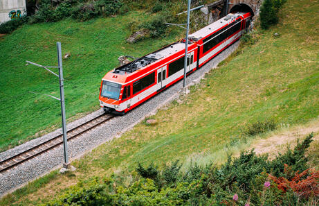 Swiss Travel Pass: Opinión, Ahorro y ¿Vale la Pena?