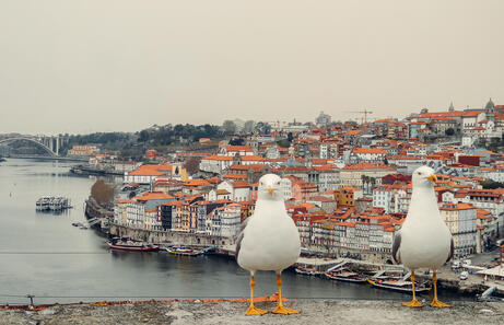 Qué Ver en Oporto en Dos Días: Planning con Mapas