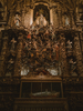 Arbol de Jesus en la Iglesia de san Francisco de Oporto