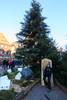 Arbol de Navidad en Obernai