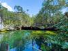 Cenote Nicte-ha en Riviera Maya
