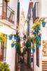 Cordoba en 4 dias Calleja de las flores