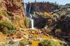 Excursion a las cascadas de Ouzoud