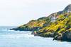 Excursiones desde Dublín a Howth