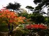 jardines japoneses Albert Kahn