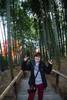 Que ver en Kioto bosque bambu Kodaiji