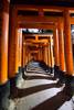 Que ver en Kioto Fushimi Inari