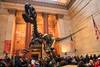 Que ver en Nueva York dinosaurios en el Museo de Historia Natural
