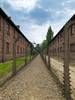 Visitar Auschwitz desde Cracovia