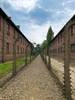 Visitar Auschwitz desde Varsovia