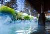 Visitar el Tenzan Onsen en Hakone