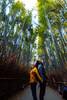 Visitar Kioto en Japon