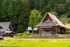 Visitar Shirakawago desde Takayama