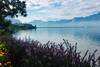 Vistas al lago Leman desde Vevey
