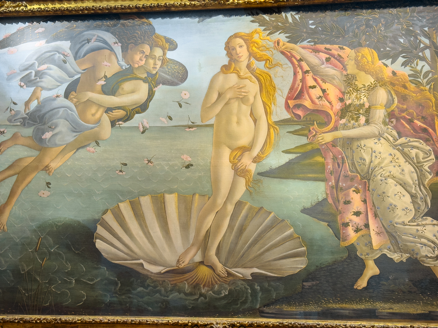 Ver el Nacimiento de Venus Galerías en las Galerías Uffizi de Florenica