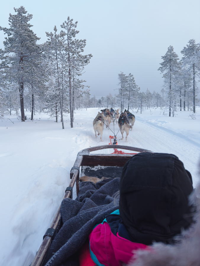 Trineo de huskies para llegar a Santa Park