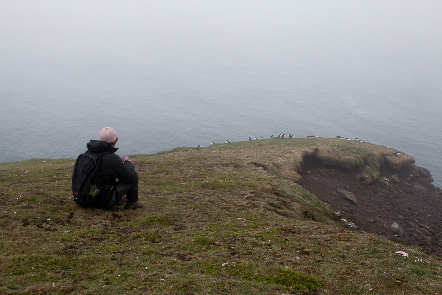 Aitor fotografiando frailecillos al norte de Islandia Aitor fotografiando frailecillos al norte de Islandia