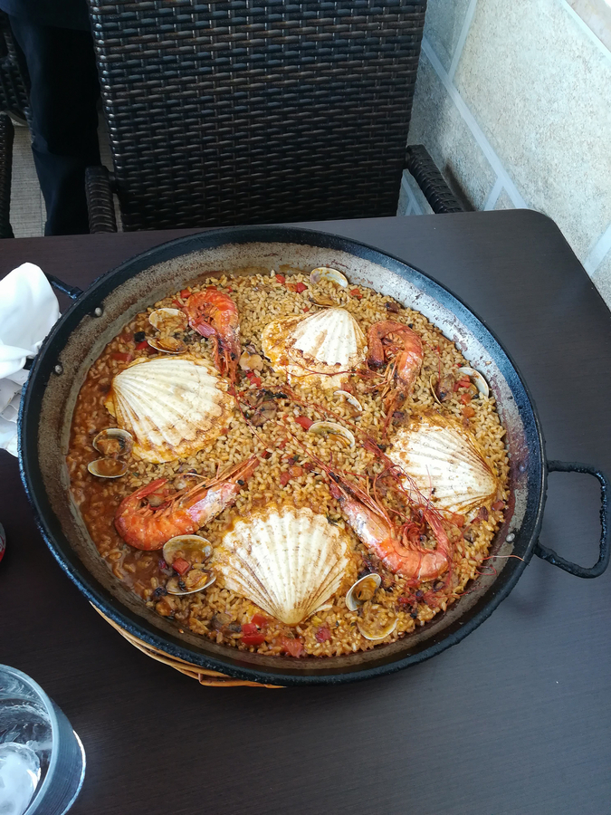 Arroz en el Racó del Riu en el Delta del Ebro