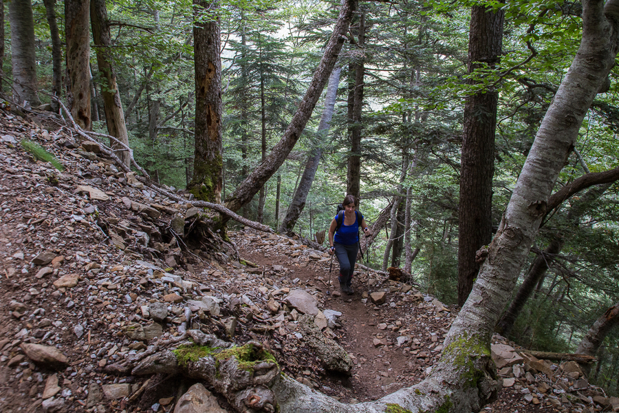 Ascension por la senda de los cazadores Ascension por la senda de los cazadores